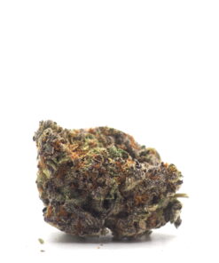 Orangeade Weed Strain