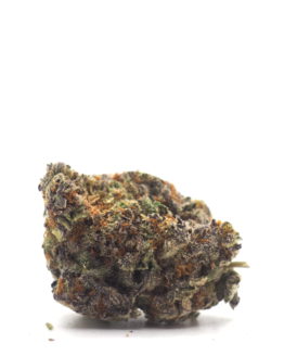 Orangeade Weed Strain Orangeade Weed Strain