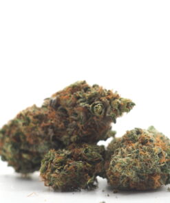 Runtz Cannabis Strain