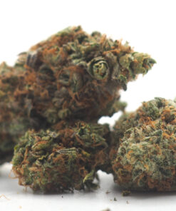 Runtz Cannabis Strain Cropped